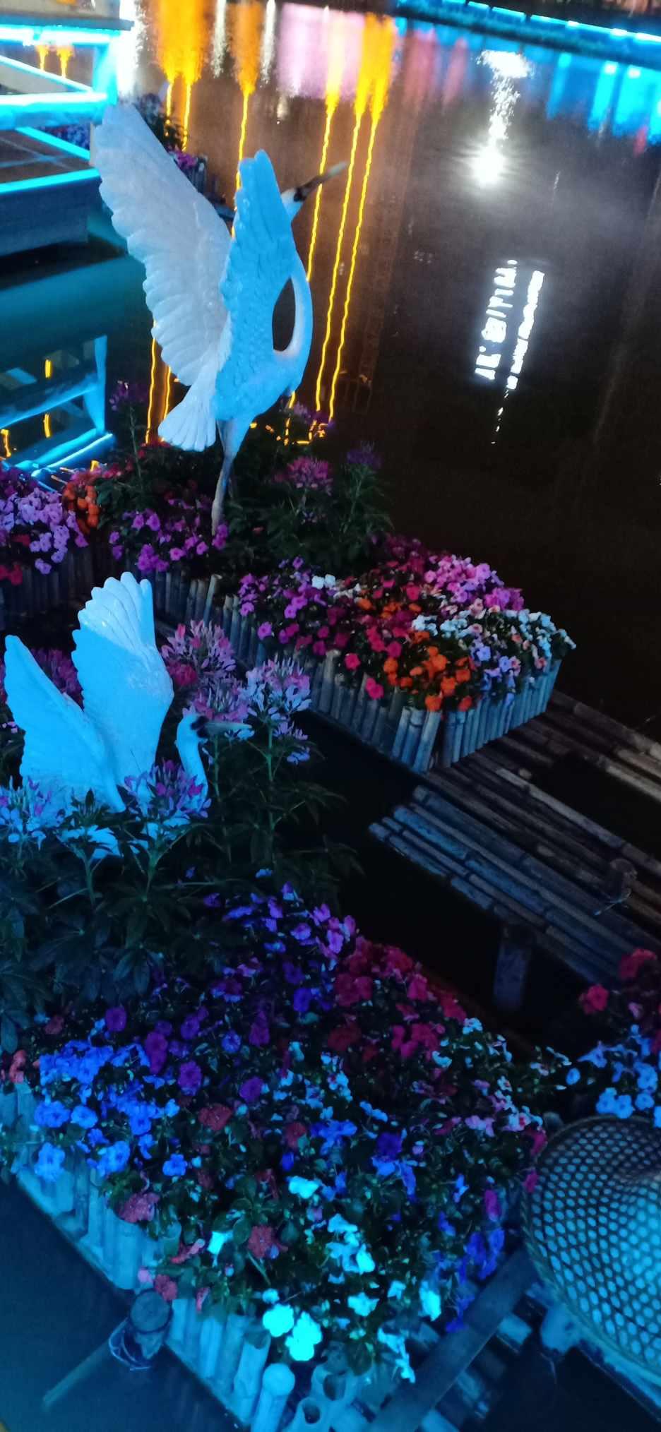 月光影视