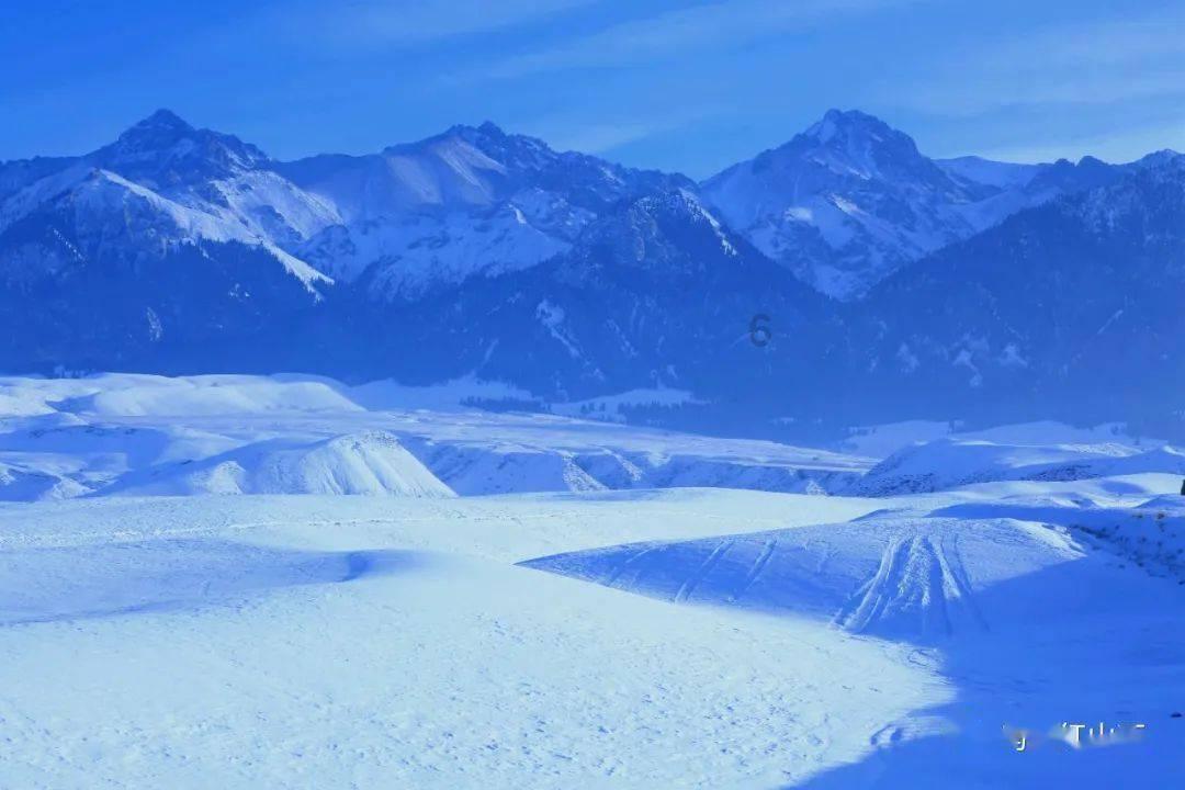 暴雪讲暂停在中国大多数游戏,暴雪的哪款游戏是你的真爱?-专业的知识问答网页